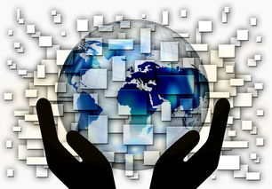 华体会登录-中国篮球教练员战术创新与应用案例分析，篮球教练基本战术