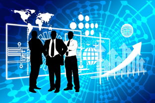 华体会平台-中国篮球教练员职业发展规划及继续教育研究,中国篮球教练员职业发展规划及继续教育研究论文