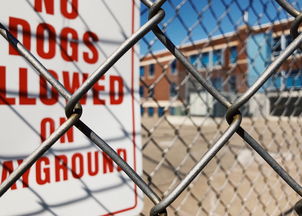 华体会在线登录-青少年安全教育模式，青少年安全教育模式是什么